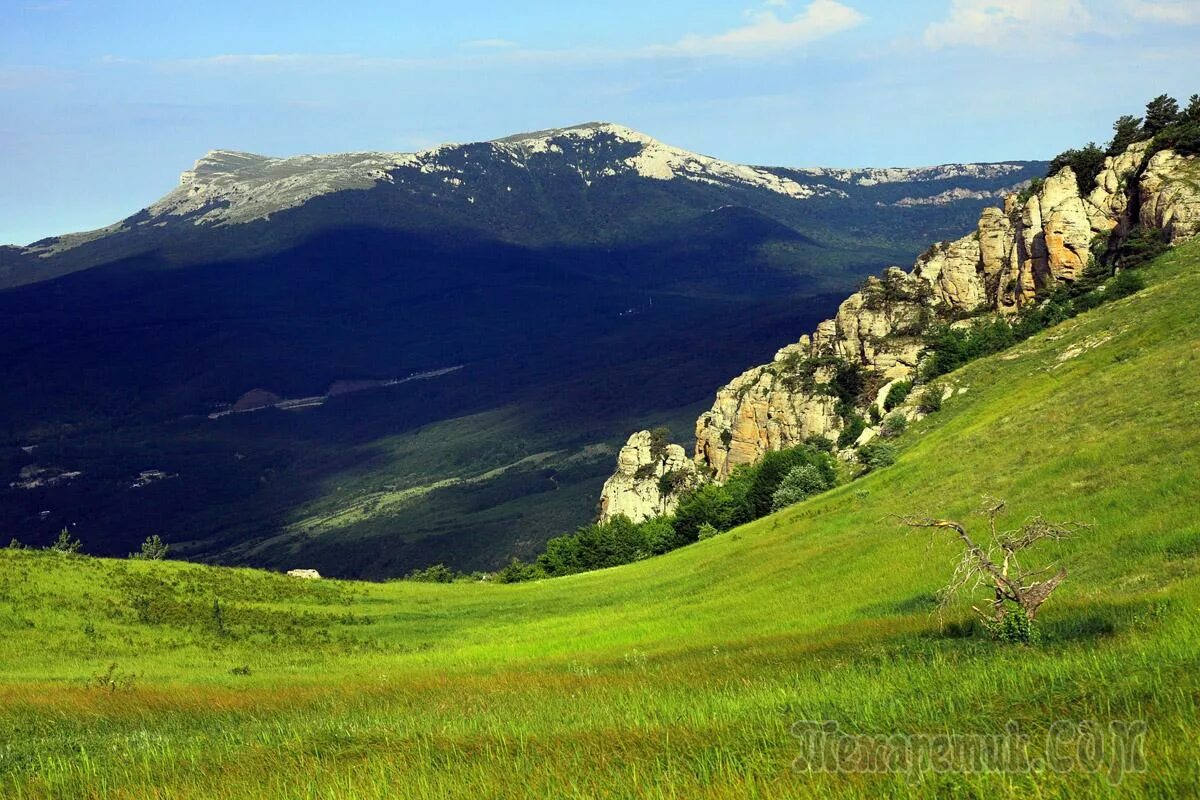 Сниму в горах крыма