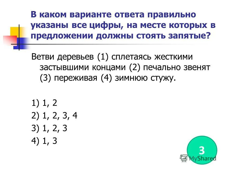 Ветви деревьев. Ветви деревьев. Мрачные ветки деревьев. Ветви деревьев с листьями. Ветви деревьев сплетаясь жесткими застывшими концами.