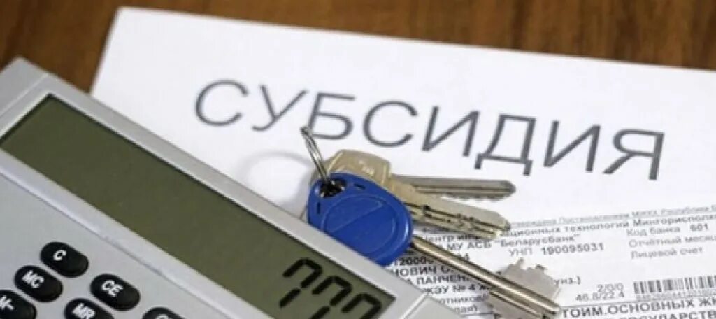 Импортные субсидии. Субсидии. субсидия за жкх. субсидии на оплату жилого помещения. субсидии картинки.