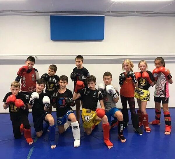 академия бокса индиго. академия бокса нижний новгород. бокс в нижнем новгороде. академия бокса ванеева 199. академия бокса ванеева 199.