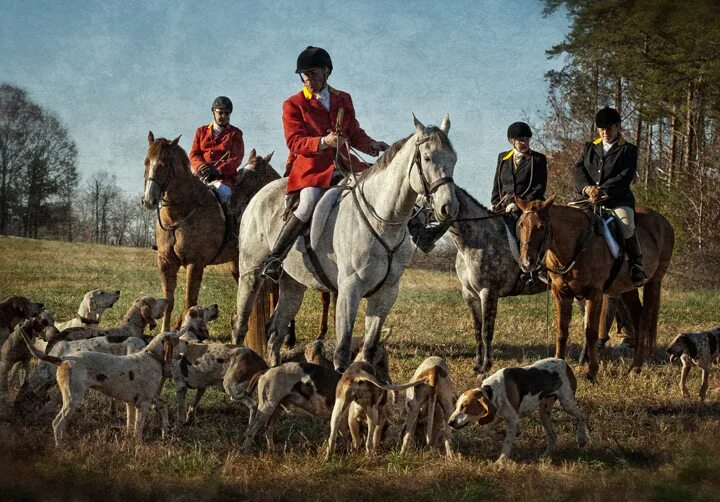 Фокс Хантинг. History of Fox Hunting. SPACEMAXMARINE Fox Hunting. Fox hunt