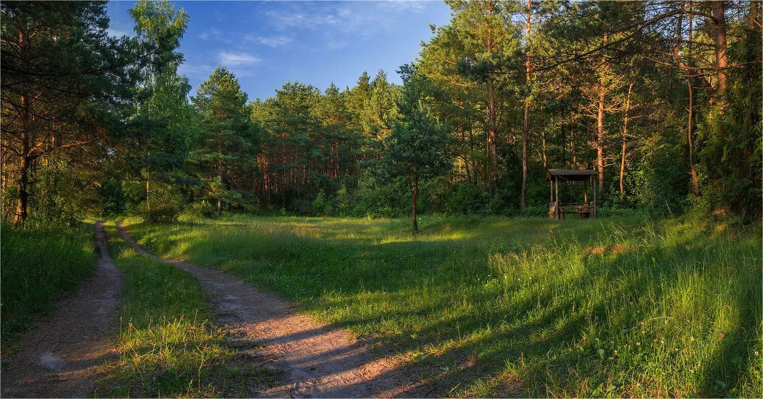 Опушка это. На Лесной опушке. Лес Поляна опушка. Лесная опушка у села. Лесная Поляна с тропинкой.