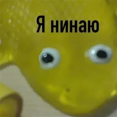 Ни наю