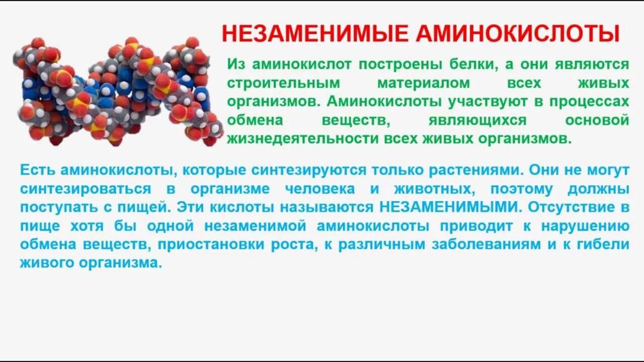 Незаменимая аминокислота в составе белков. Незаменимые α-аминокислоты. Заменимые и незаменимые аминокислоты. Не заминимые аминокислоты. Белки заменимые и незаменимые аминокислоты.