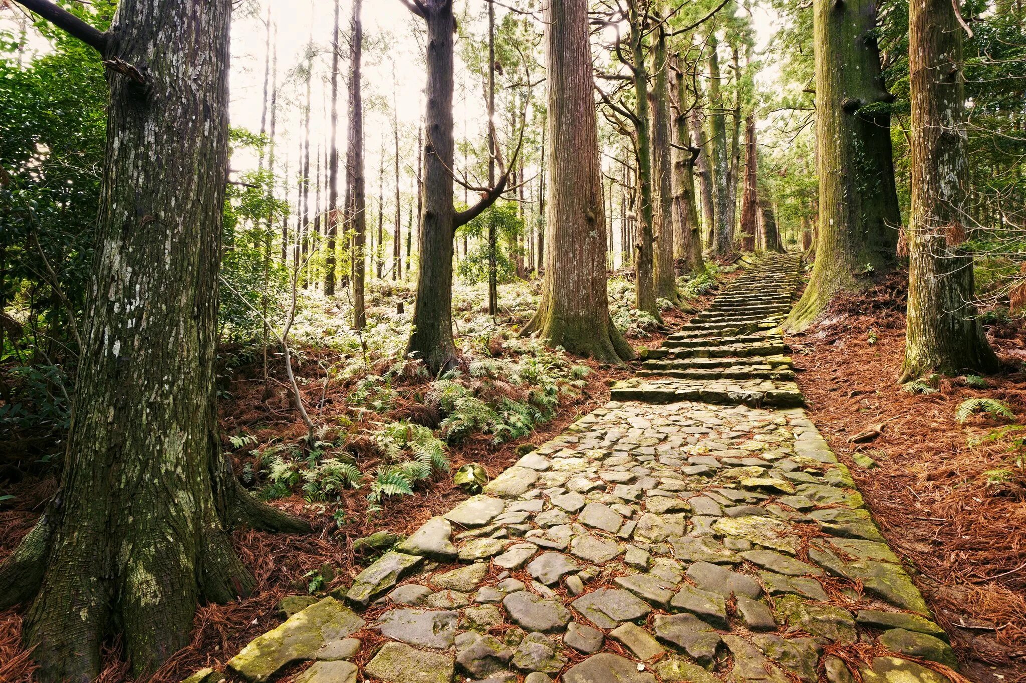 C full path