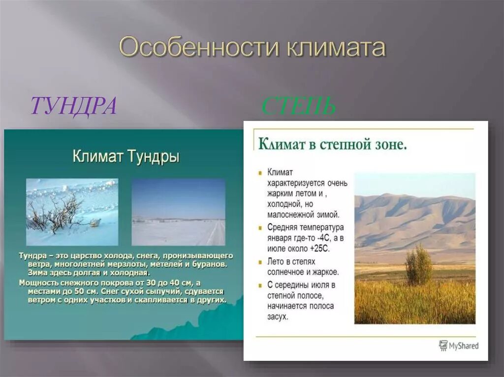 Главная особенность природной зоны. Природные зоны России тундра климат. Природные зоны России лесотундра климат. Характеристика климата тундры. Природно климатические условия тундры.