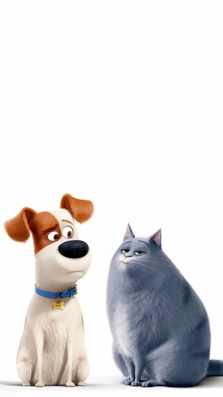 8 увлекательных фильмов про кошек. Часть 2 Petshop Journal Дзен