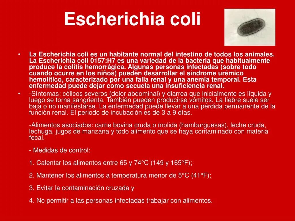 Эшерихии. Escherichia прочитать. Эшерихия у детей клиника. Escherichia coli что это у мужчин