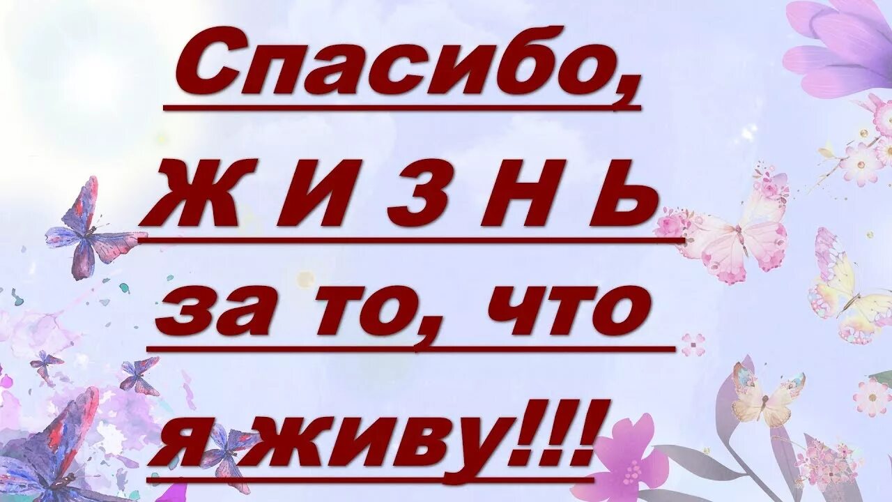 Спасибо за жизнь родителям презентация. Спасибо за жизнь. спасибо жизнь. праздник спасибо за жизнь. спасибо жизнь за то что я живу.