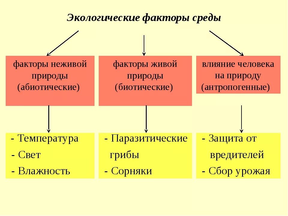 Что такое экологические факторы 5 класс. Факторы живой природы 5 класс биология таблица. Факторы живой природы таблица. Экологические факторы факторы неживой природы факторы живой природы. Факторы живой среды.