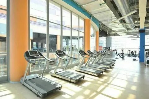 Alex fitness багратионовский пр 5