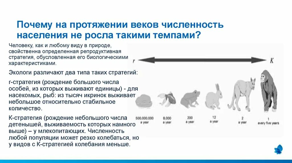 Почему численность растет