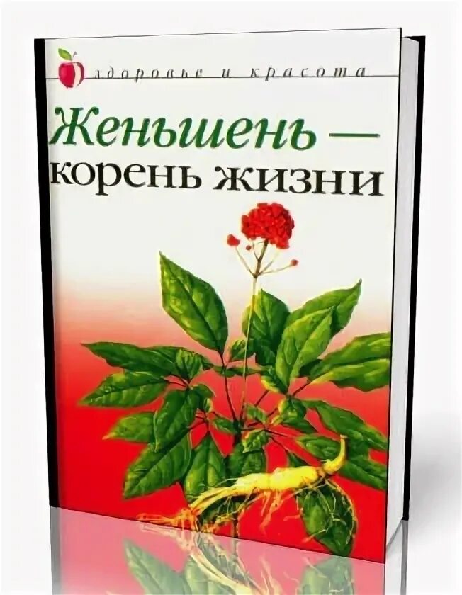 Корень жизни 8 букв. Panax trifolius. Жил корень. Корень жизни 8 букв. Корень жизни.