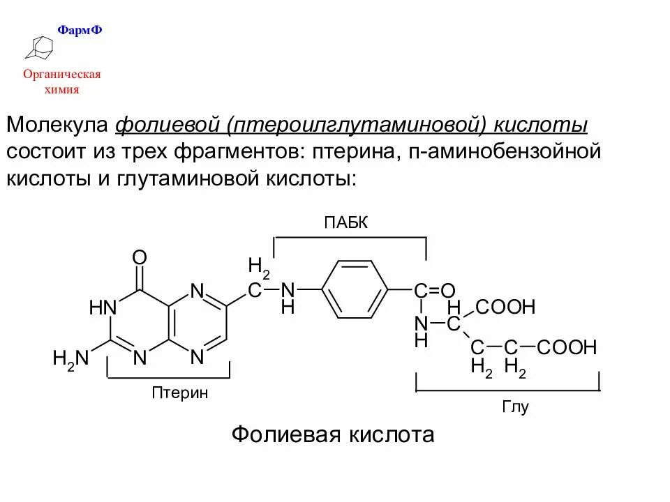 Перечислите составные части молекулы фолиевой кислоты;. Составные части молекулы фолиевой кислоты. Пара-аминобензойная кислота (ПАБК, витамин в10). Молекула фолиевой кислоты содержит:.
