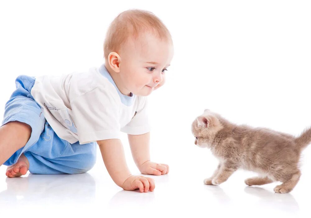 Котенок играет малыша. Котёнок-ребёнок. Мальчик играет с котом. Дети и коты.