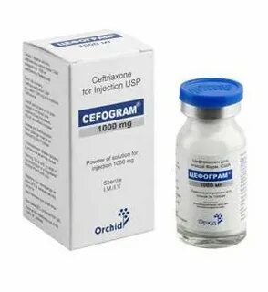 Сульзонцеф