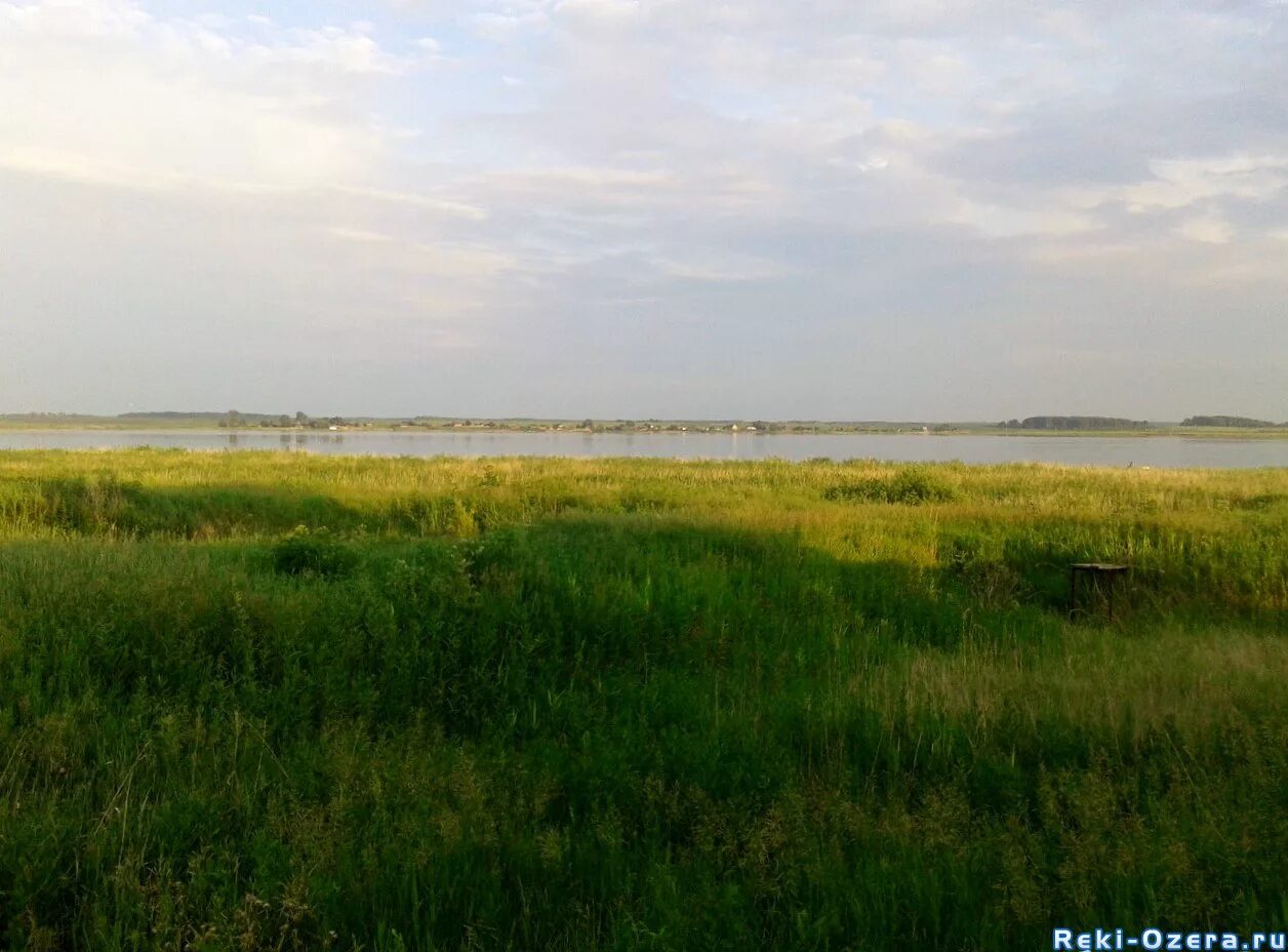мещерская низменность болота. мещерская низменность болота. боровое болото. национальный парк мещера гусь-хрустальный. боровое болото.