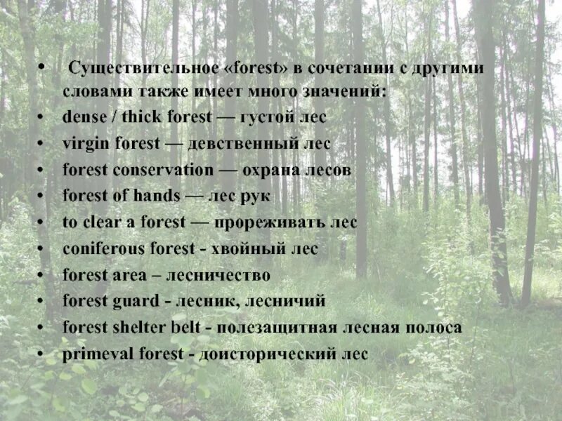 В лесу это существительное. Густой лес антоним. В густом лесу существительное. Существительное лес или Лесной. В лесной гуще текст