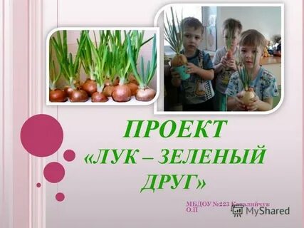 Зеленый друг