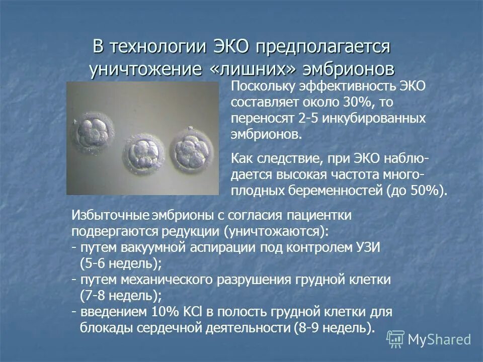 Подсадили эмбрион форум. Эмбрион при эко. Стадии эмбрионов при эко. Этапы эмбриона при эко.