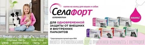 Силофорт