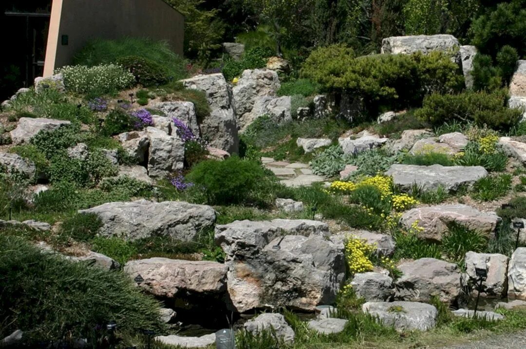 55+ The Rock Garden Design Ideas For Exciting Garden Backyard garden design, Bac