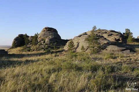 Павлодар баянаул расстояние