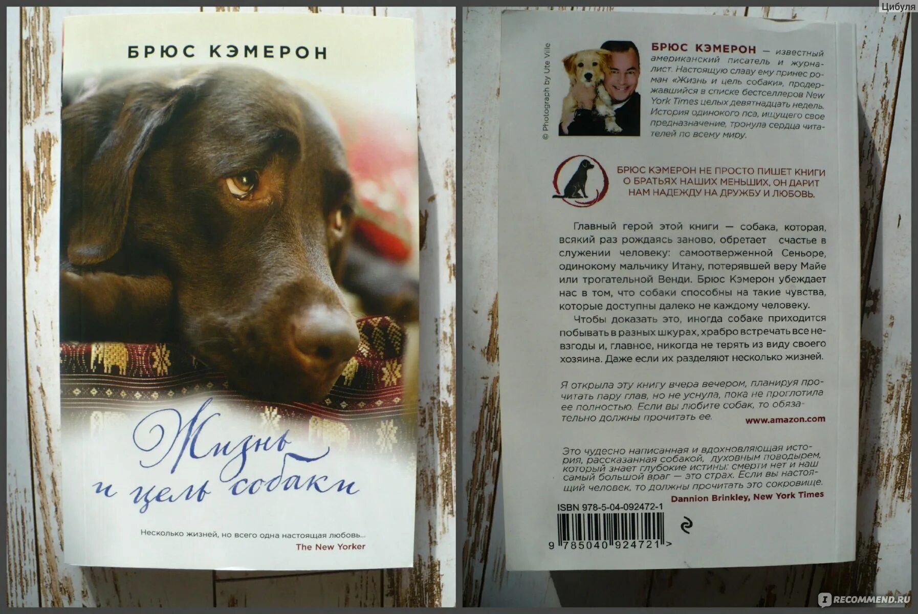 Брюс Кэмерон собачья жизнь. Жизнь и цель собаки Брюс Кэмерон книга. Брюс Кэмерон книги про собак. Книга жизнь и цель собаки Брюс Кэмерон обложка.