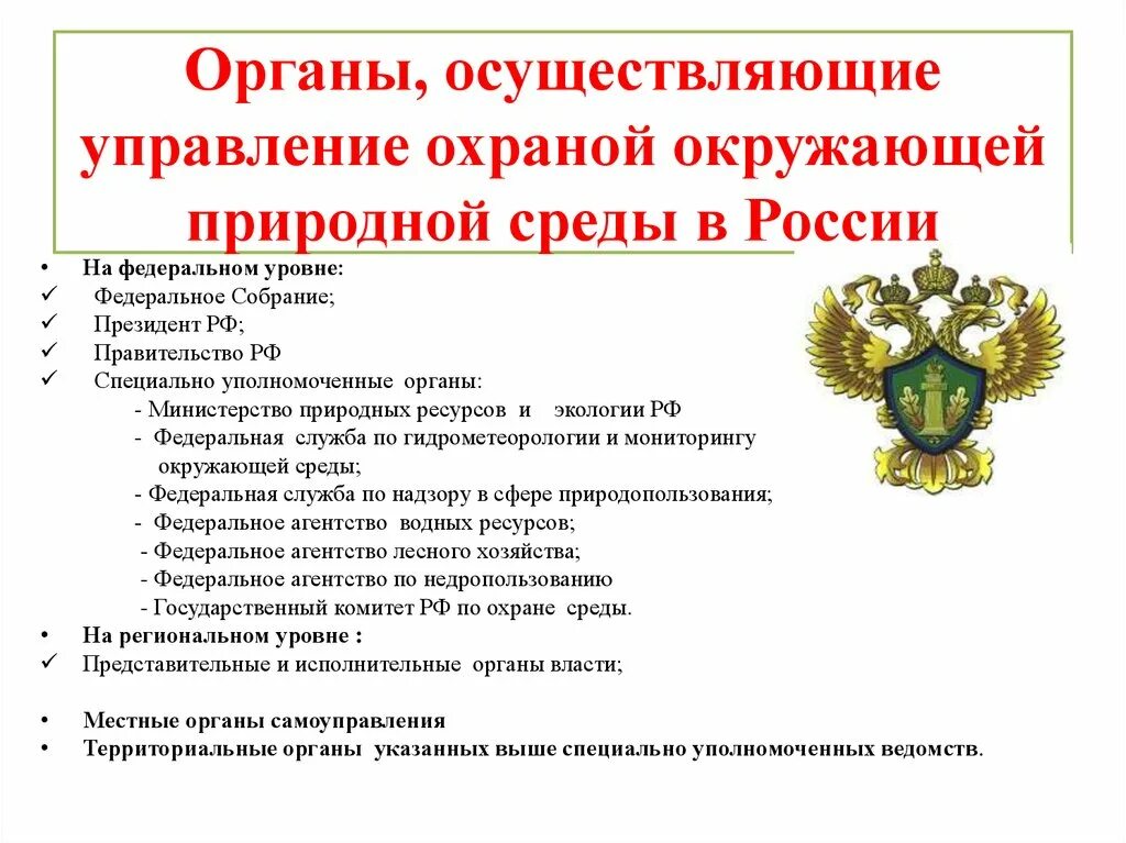 Управления области охраны природных. Органы осуществляющие охрану окружающей среды. Органы управления охраны окружающей среды. Государственные органы охраны природной среды. Специально уполномоченные органы охраны окружающей среды.