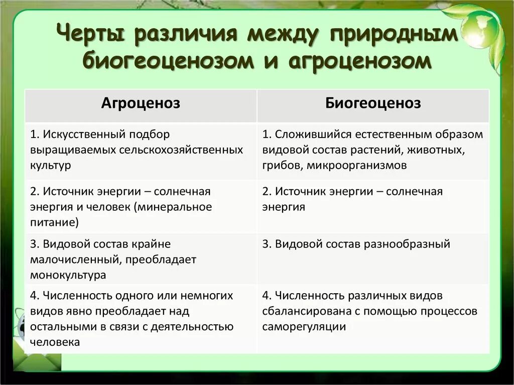 Сравните природную экосистему. Отличие агроценоза от естественных экосистем. Отлицияагроциноза и природной экосистемы. Сходства и отличия агроценоза и биогеоценоза. Сравнительная характеристика биогеоценоза и агроценоза.