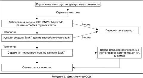 Острая сосудистая недостаточность тесты с ответами