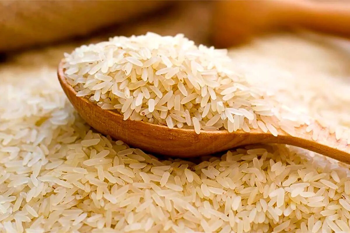 Рис basmati. Рис длиннозерный шлифованный пропаренный. Рис (зерно). Всемирный день риса. Рис арборио.
