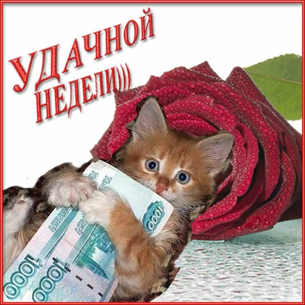 Легкого рабочего дня