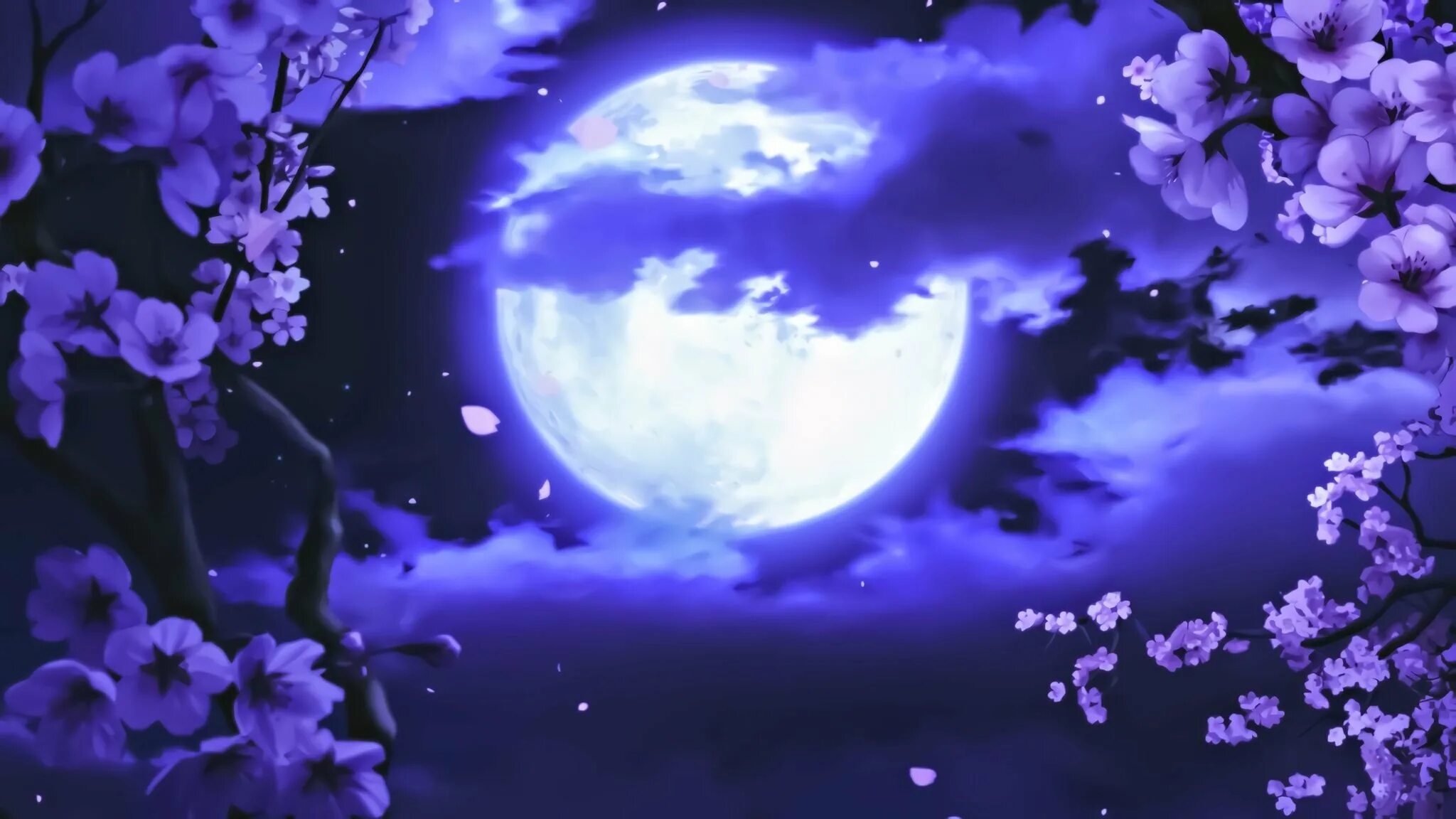 Чудесные лунные мартовские ночи впр 5 класс. Сакура на фоне Луны. Сакура ночью. Сакура под луной. Волшебная Луна.