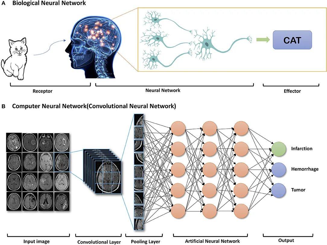 Искусственная нейронная сеть. Нейронные сети искусственный интеллект. Нейронная сеть изображение. Нейронная сеть рисунок.
