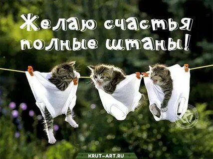 Смешные картинки счастливого