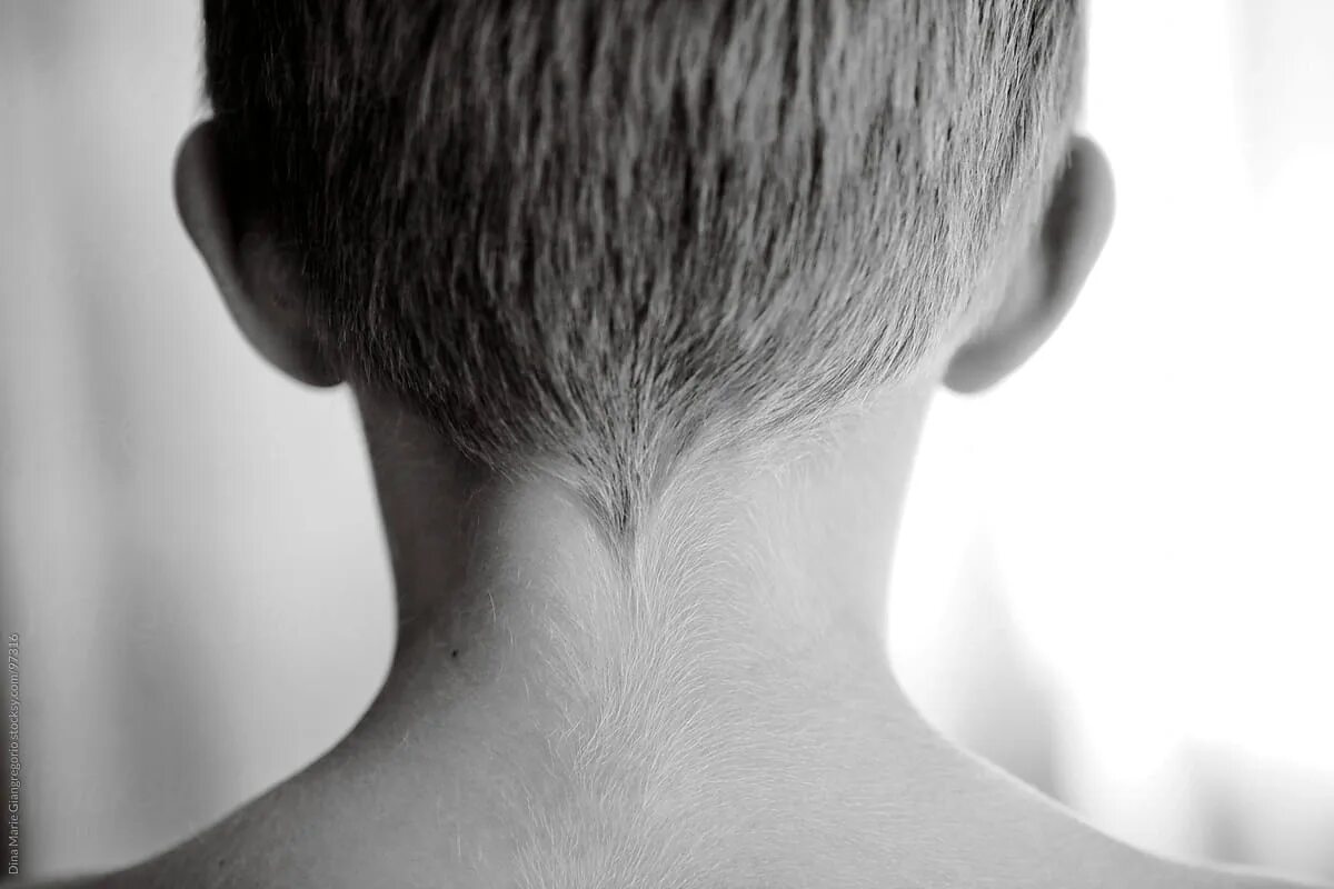 Затылок годов. Тестовая шея у подростка. Head boy. Nape of the Neck. The back of the boy's head.