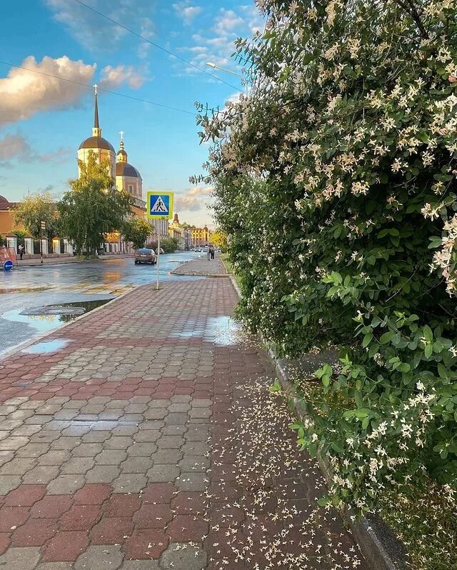 Лето томск. Томск летом. Томск летом фото. Томск фото города 2022 лето. Томск классическое лето.