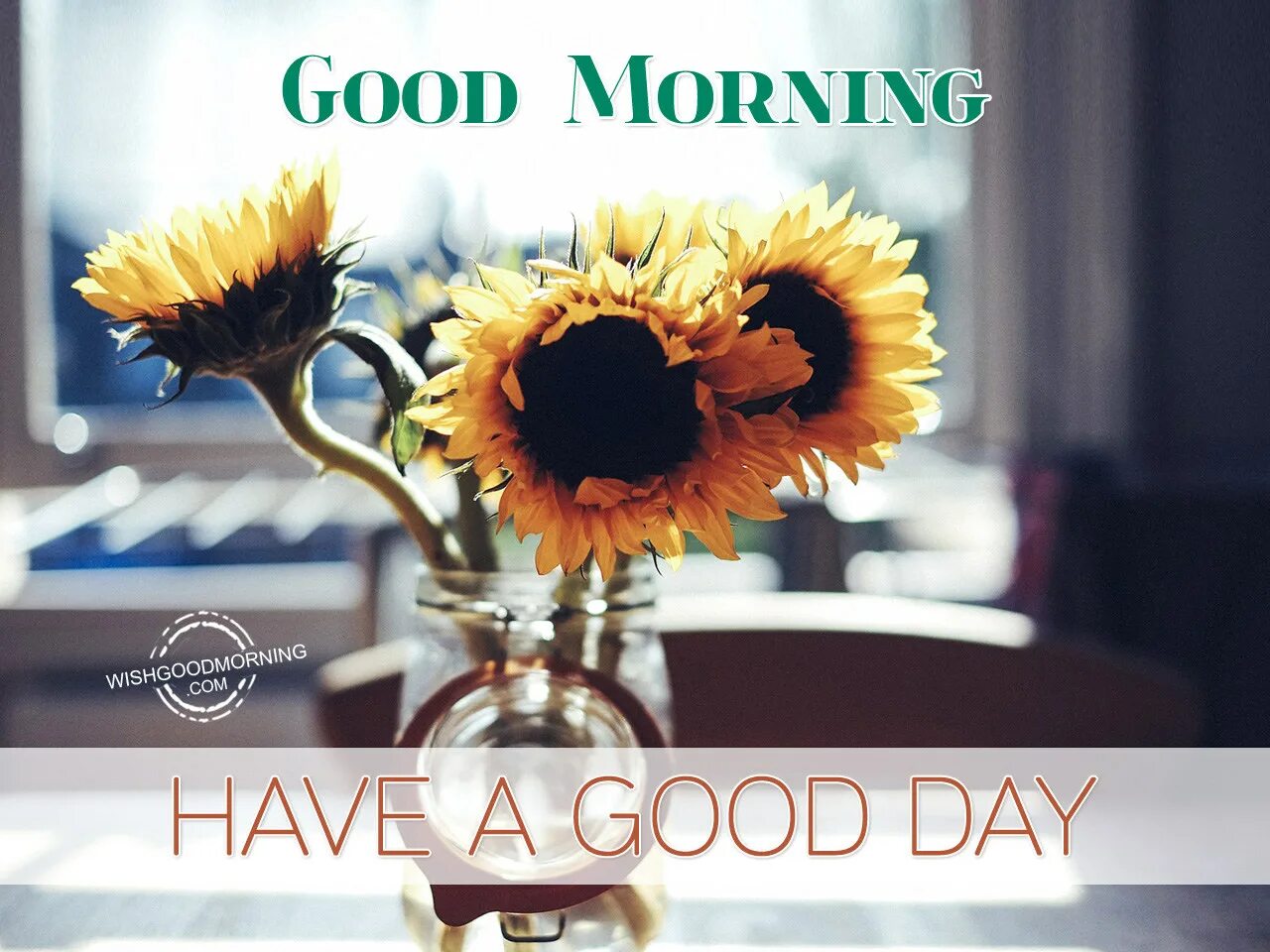 Включи good morning. Good Day картинки. Good morning have a great Day картинки. Good morning have a good Day. Have a good Day картинки.