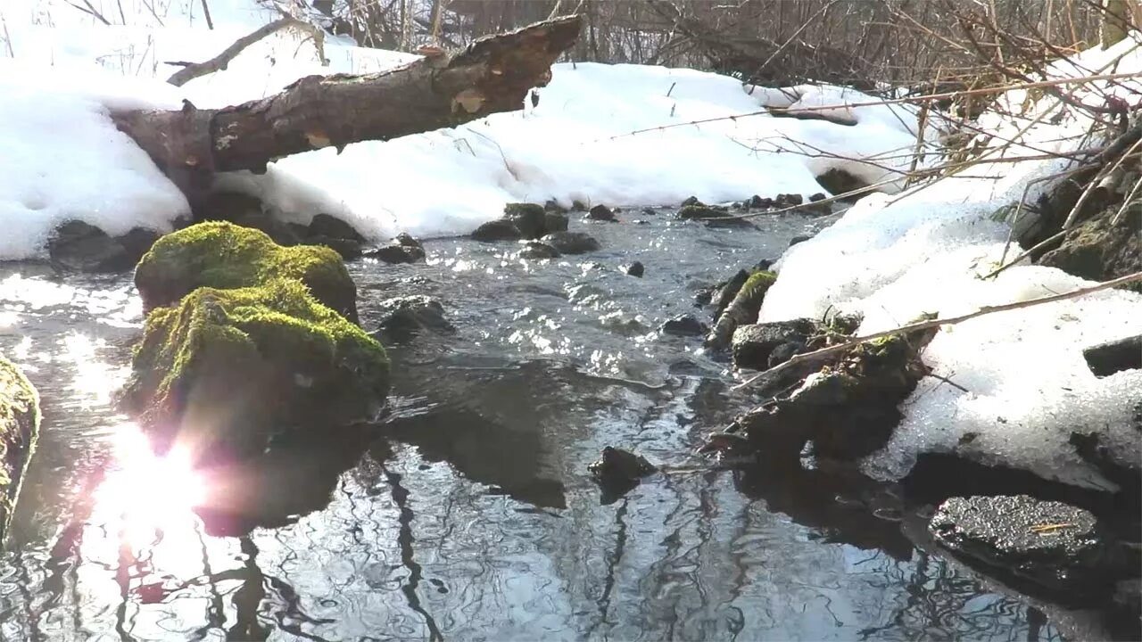 Переходя через мост мы слышали пение ручья. Весенние ручьи. Весенний журчащий ручеёк.