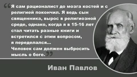 До мозга костей значение