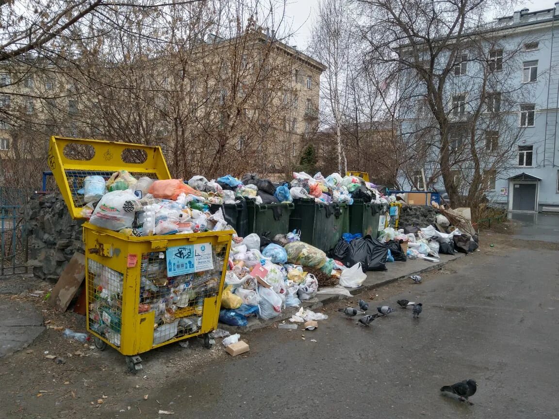 Завалена мусором. Мусор в городе. Мусорный город. Экология мусор. Экологические мусорки.