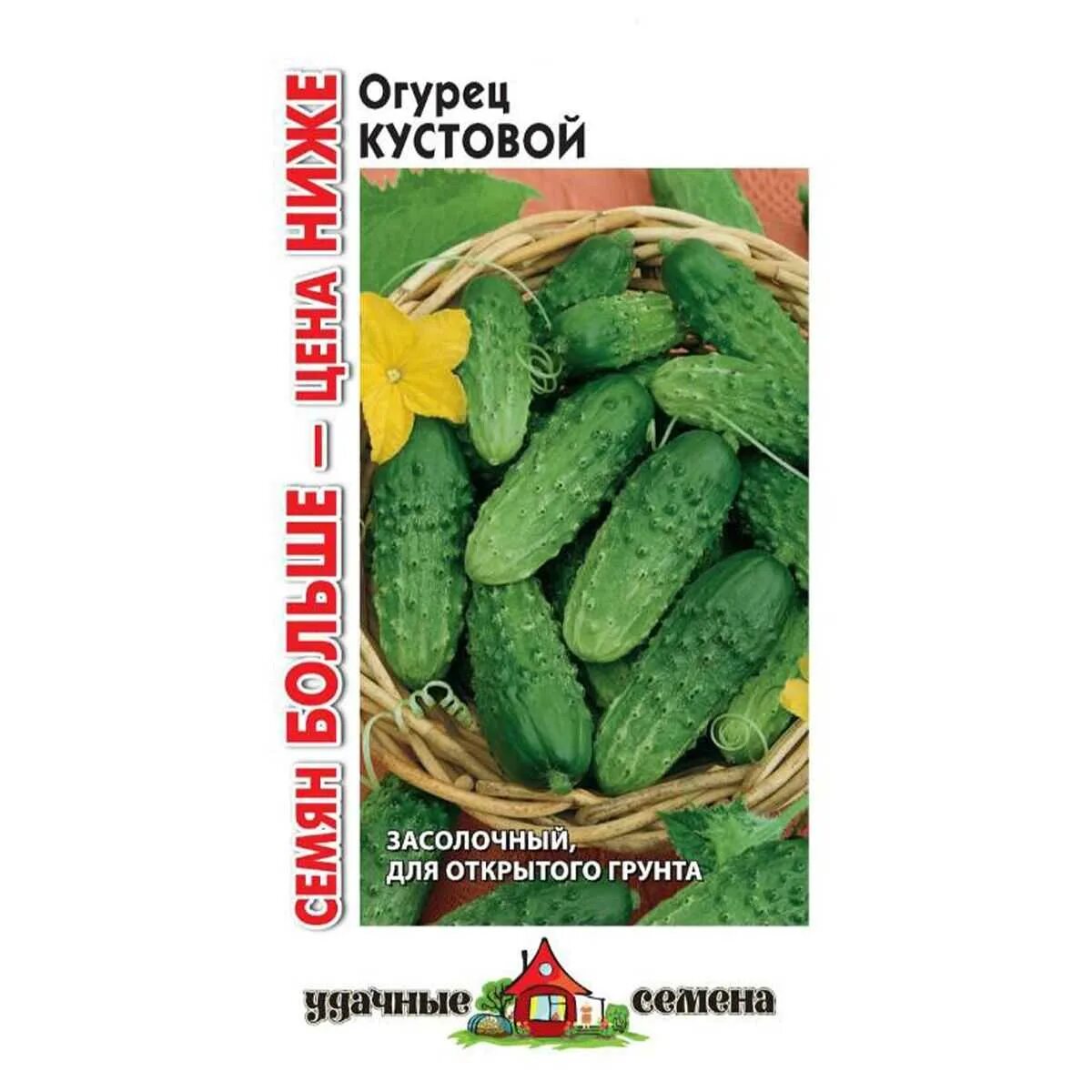 Семена огурцов сорта. Огурцы сорт малыш. огурец кустовой. семена огурец кустовой. кустовые огурцы для открытого грунта.