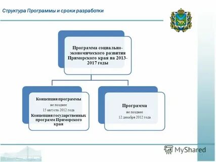 Структура программы социальное развитие