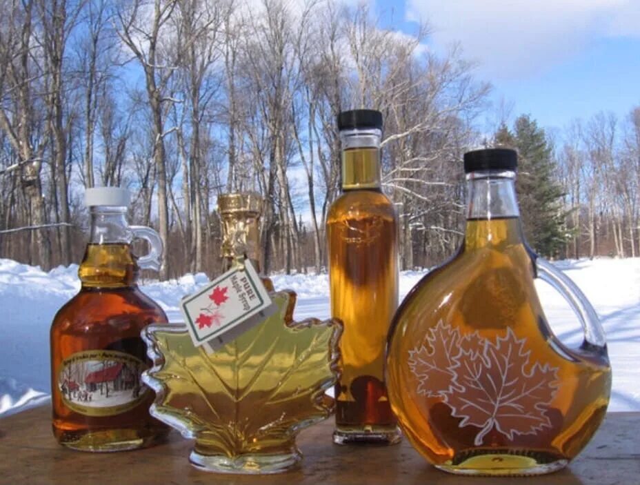 Пьют ли кленовый сок. Сбор кленового сиропа в Канаде. Канадская еда Maple Syrup. Канада кленовый сок. Фестиваль кленового сиропа в Канаде.