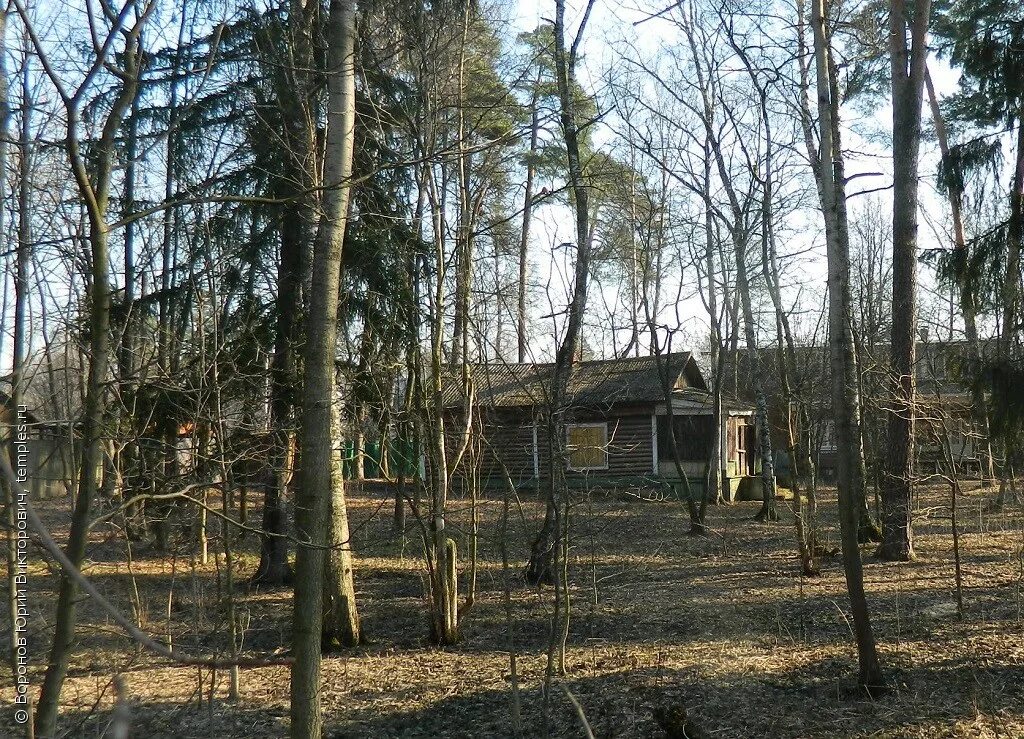 Погода в загорянском. Посёлок Загорянский Щёлковский район. Пос Загорянский Щелковский район храм. Поселок Загорянский Щелковский район 1912 год. Памятник архитектуры Загорянский поселок.