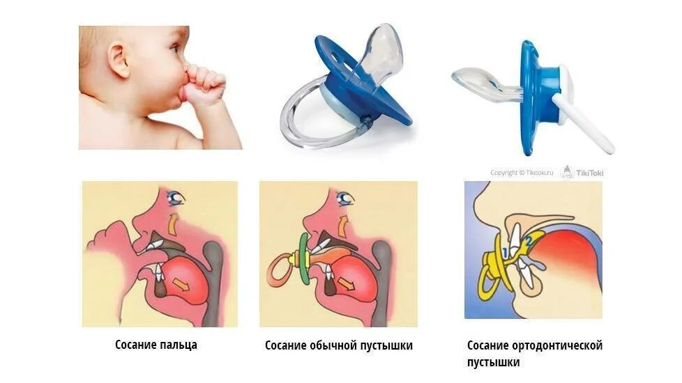 Соска от сосание пальца. Механизм сосания пустышки. Сосание пустышки схема. Отучение ребенка от сосания пальца. Отсасывать палец