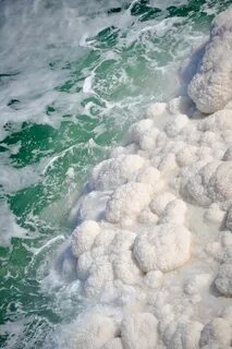 Вода мертвого моря