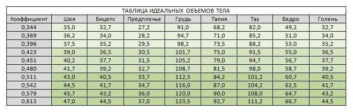 Таблица идеальных пропорций для мужчин. Таблица идеальных пропорций в бодибилдинге. Идеальные пропорции мужского тела таблица. Деальные пропорции мужского тел. Размеры идеальной фигуры