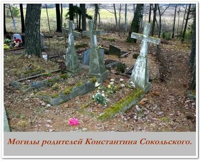 Могила родителей